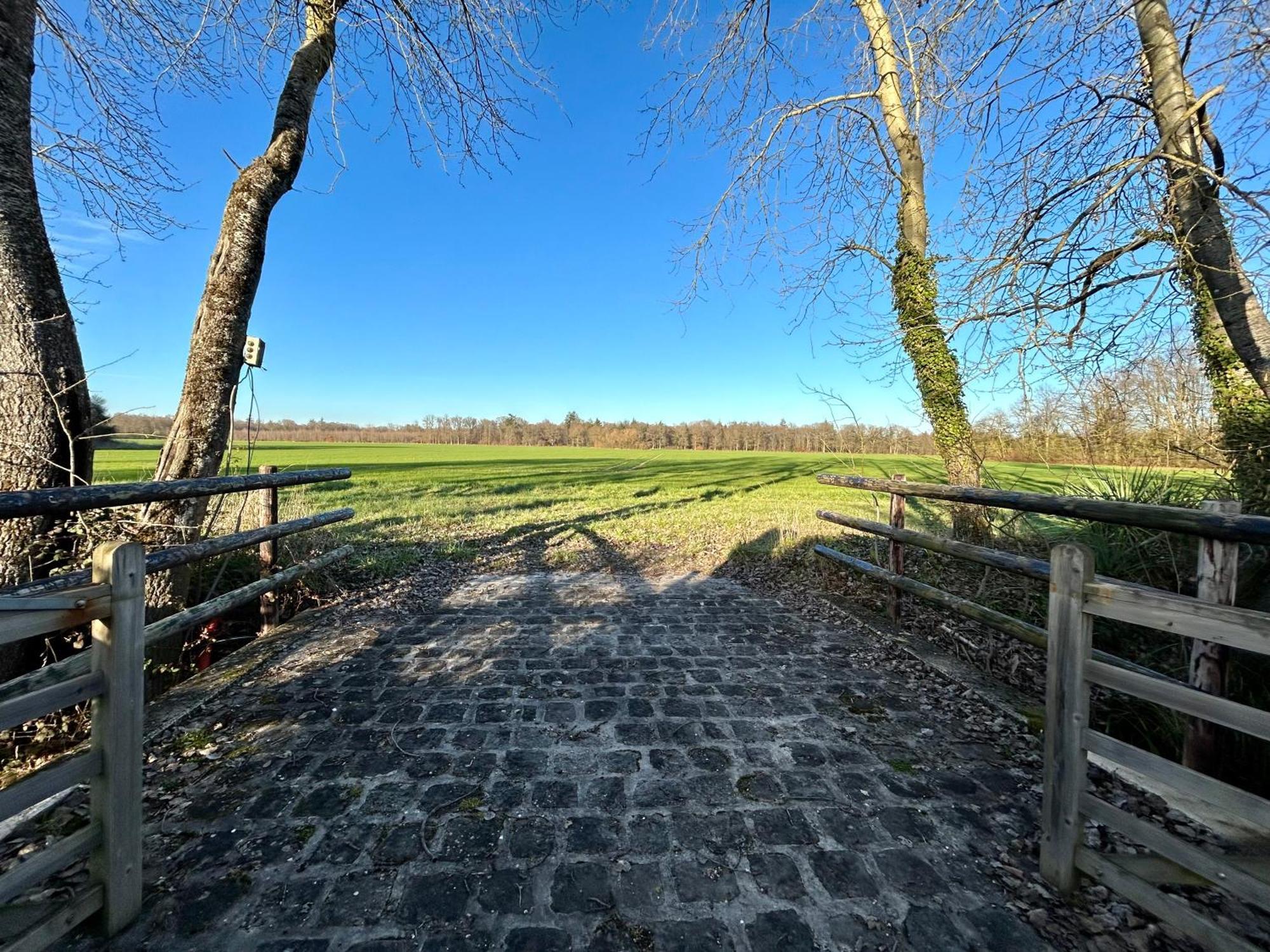 Ferienwohnung Le Domaine De Brie Chatillon-la-Borde Exterior foto