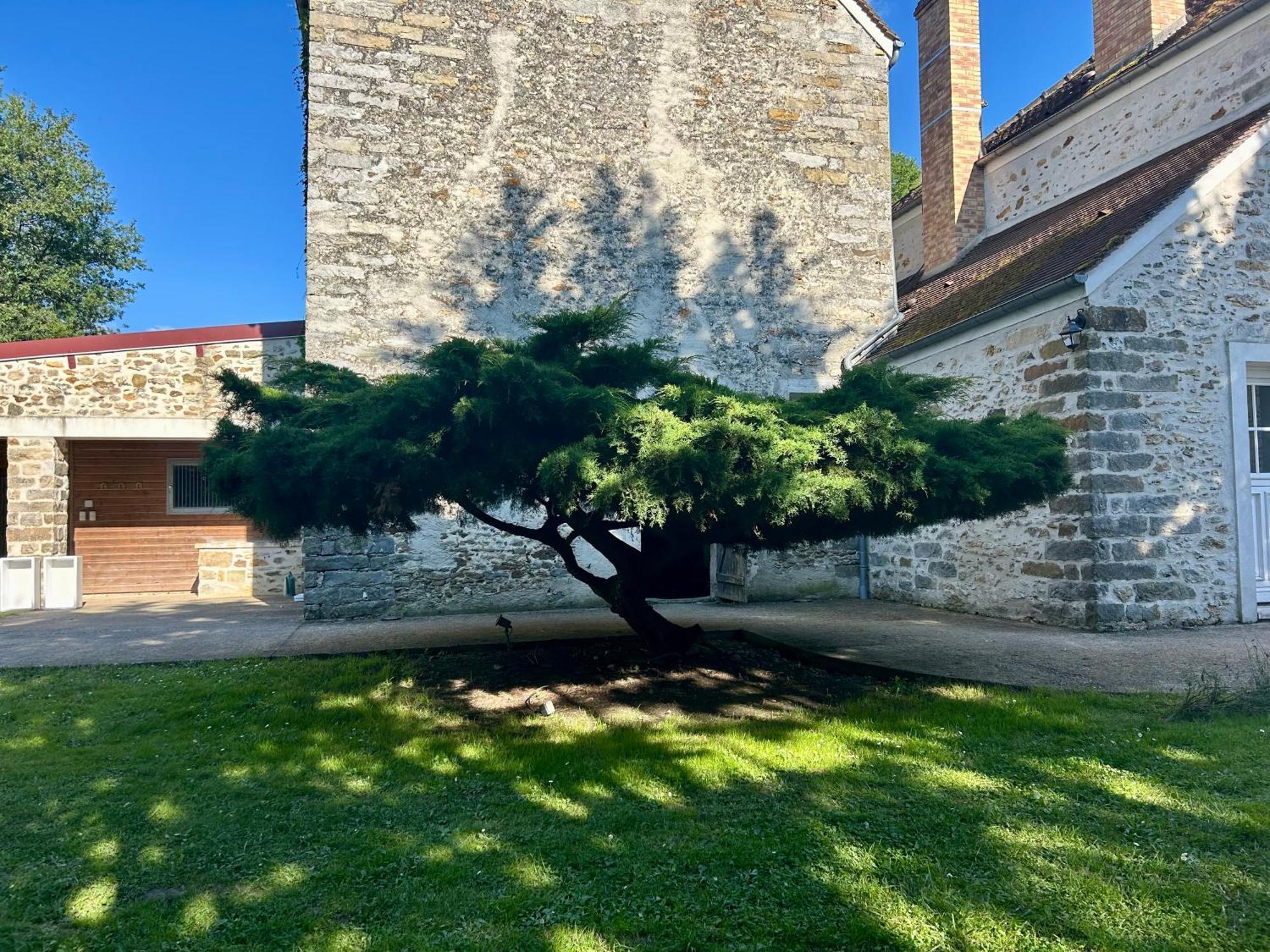 Ferienwohnung Le Domaine De Brie Chatillon-la-Borde Exterior foto